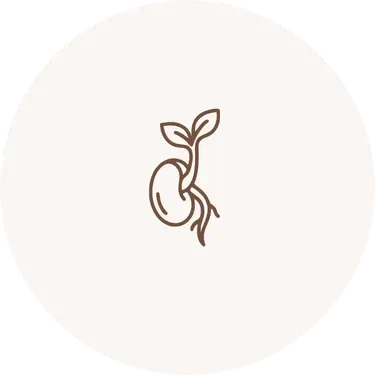 Sprouting seed icon representing growth, reflection, and intentional living practices.